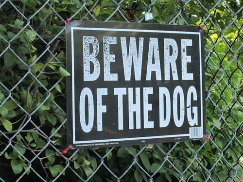 Beware of the Dog’ sign attached to a chain-link fence